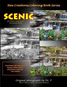 portada New Creations Coloring Book Series: Scenic (en Inglés)