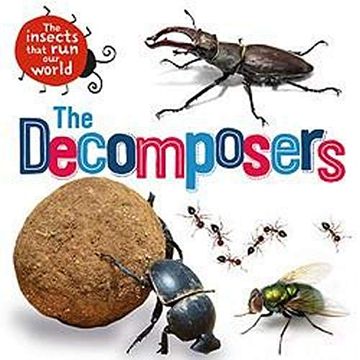 portada The Decomposers (The Insects That run our World) (en Inglés)
