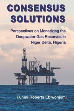 portada Consensus Solutions: Perspectives on Monetizing the Deepwater Gas Reserves in Niger Delta, Nigeria (en Inglés)