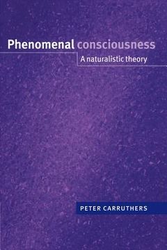 portada Phenomenal Consciousness Paperback: A Naturalistic Theory 