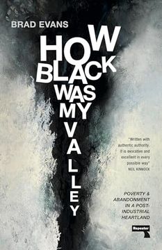 portada How Black was my Valley: Poverty and Abandonment in a Post-Industrial Heartland