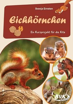 portada Eichhörnchen: Ein Kurzprojekt für die Kita (Kita-Kurzprojekte) (en Alemán)