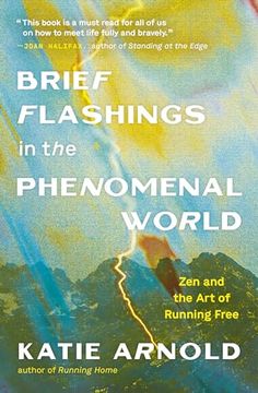 portada Brief Flashings in the Phenomenal World (en Inglés)