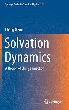 portada Solvation Dynamics: A Notion of Charge Injection (Springer Series in Chemical Physics) (in English)