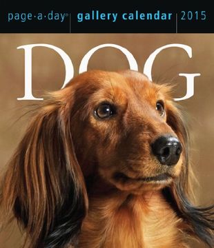 portada Dog Page-A-Day Gallery Calendar (Workman Gallery Calendar) 