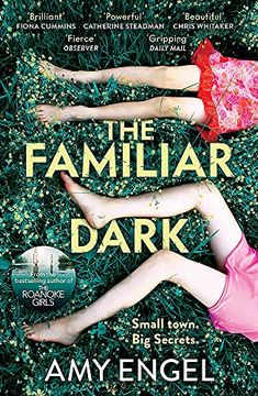 portada The Familiar Dark: The Must-Read, Utterly Gripping Thriller you Won'T be Able to put Down (en Inglés)