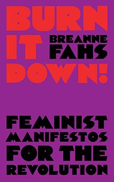 portada Burn it Down! Feminist Manifestos for the Revolution (in English)