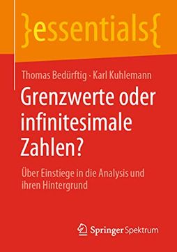 portada Grenzwerte Oder Infinitesimale Zahlen? Über Einstiege in die Analysis und Ihren Hintergrund (en Alemán)