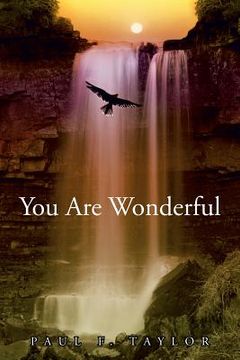 portada You are Wonderful: A devotional insight into the Names and descriptions of God and Jesus in the Bible