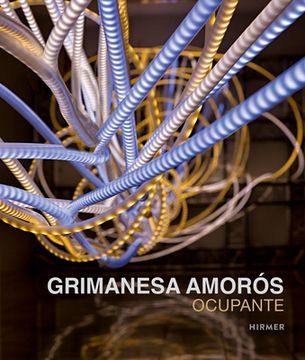 portada Grimanesa Amorós: Ocupante (en Inglés)