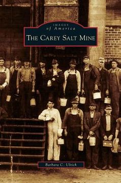 portada Carey Salt Mine (en Inglés)