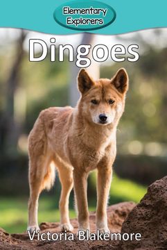 portada Dingoes (Elementary Explorers) (in English)