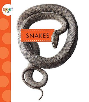 portada Snakes (Spot Backyard Animals) (en Inglés)