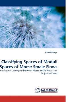 portada Classifying Spaces of Moduli Spaces of Morse Smale Flows: Topological Conjugacy between Morse Smale Flows and Projective Flows