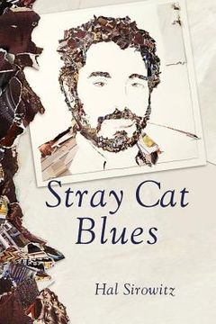 portada stray cat blues (en Inglés)