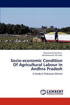 portada socio-economic condition of agricultural labour in andhra pradesh (en Inglés)