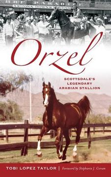 portada Orzel: Scottsdale's Legendary Arabian Stallion (in English)