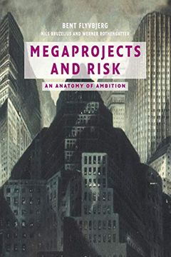 portada Megaprojects and Risk: An Anatomy of Ambition (in English)