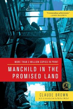 portada Manchild in the Promised Land 