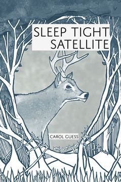 portada Sleep Tight Satellite: Stories (in English)