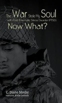 portada The War Stole My Soul with Post-Traumatic Stress Disorder (PTSD): What Now?