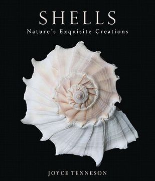portada shells: nature ` s exquisite creations (en Inglés)