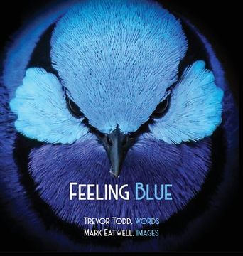 portada Feeling Blue (en Inglés)