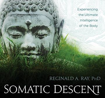 portada Somatic Descent: Experiencing the Ultimate Intelligence of the Body