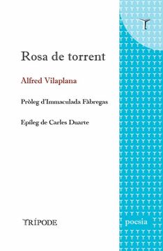 portada Rosa de Torrent (en Catalá)