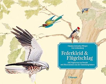 portada Federkleid & Flügelschlag: 100 Vogelarten im Porträt - mit Illustrationen aus der Sammlung Robert