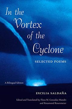 portada In the Vortex of the Cyclone: Selected Poems (en Inglés)