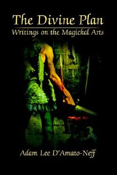 portada the divine plan: writings on the magickal arts