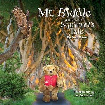 portada Mr. Biddle and the Squirrel's Tale (en Inglés)