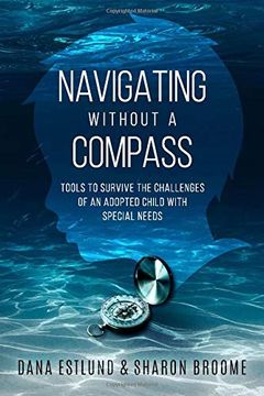 portada Navigating Without a Compass: Tools to Survive the Challenges of an Adopted Child With Special Needs (in English)