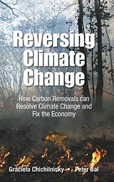 portada Reversing Climate Change: How Carbon Removals can Resolve Climate Change and fix the Economy (Environmental Energy Economics) (en Inglés)