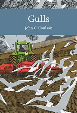 portada Gulls (en Inglés)