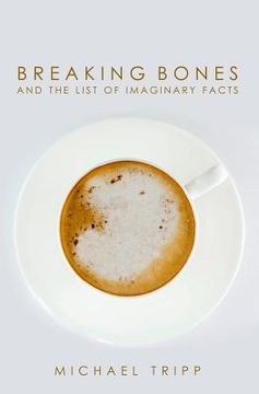 portada breaking bones and the list of imaginary facts (en Inglés)