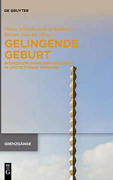 portada Gelingende Geburt: Interdisziplinäre Erkundungen in Umstrittenen Terrains: 2 (Issn) (in German)
