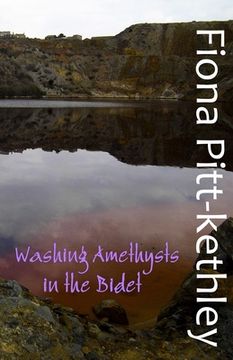 portada Washing Amethysts in the Bidet (en Inglés)