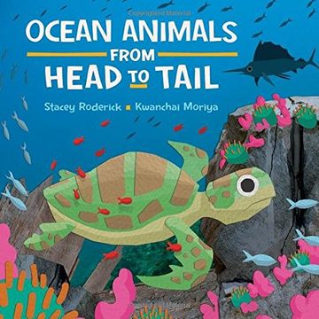 portada Ocean Animals from Head to Tail