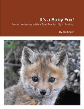 portada It's a Baby Fox! (en Inglés)