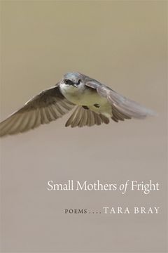 portada Small Mothers of Fright: Poems (en Inglés)
