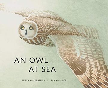 portada An owl at sea (in English)