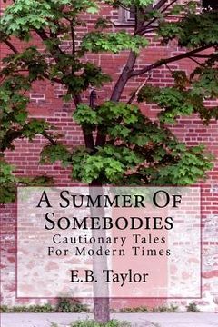 portada A Summer of Somebodies (en Inglés)