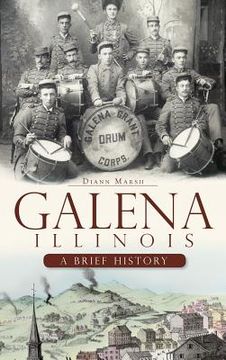 portada Galena, Illinois: A Brief History (en Inglés)