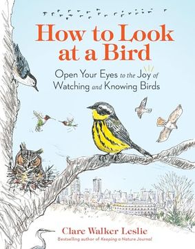 portada How to Look at a Bird: Open Your Eyes to the joy of Watching and Knowing Birds