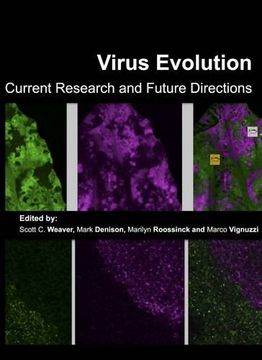 portada Virus Evolution: Current Research And Future Directions (en Inglés)