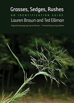 portada Grasses, Sedges, Rushes: An Identification Guide (en Inglés)