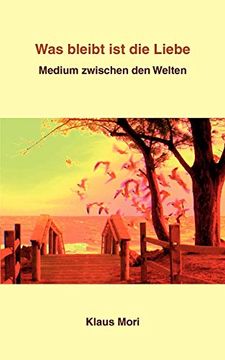 portada Was Bleibt ist die Liebe: Medium Zwischen den Welten (in German)