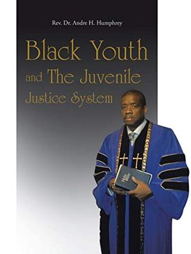 portada Black Youth and the Juvenile Justice System (en Inglés)
